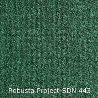 Robusta Project-SDN 443